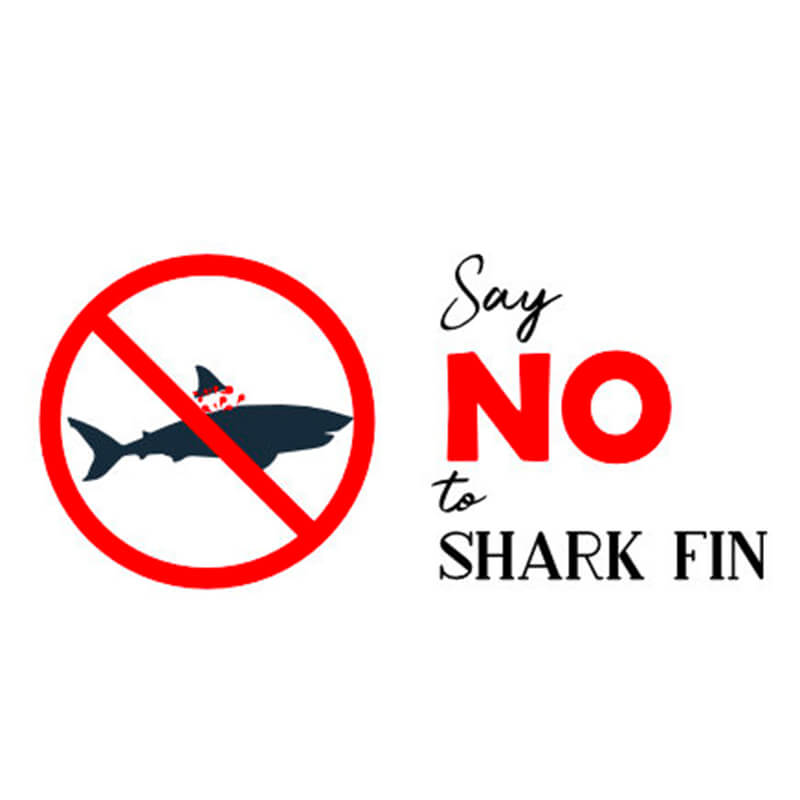 campaign-say-no-to-shark-fin campaign-say-no-to-shark-fin